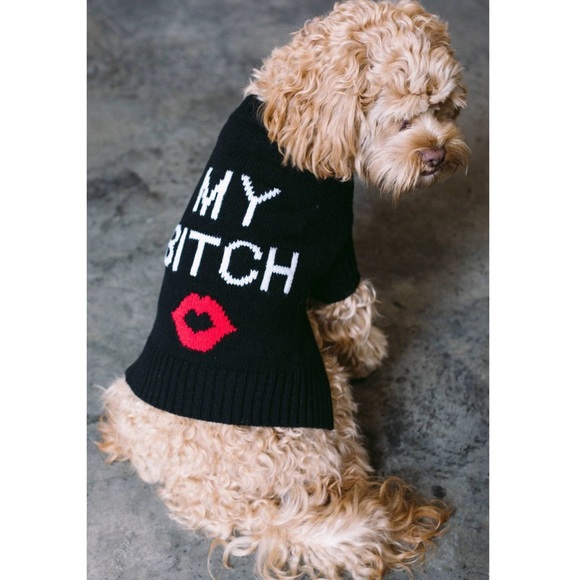 Skull cashmere dog sweater Clearance